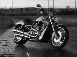 Профессиональное удаление катализатора Harley Davidson