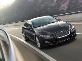 Профессиональное удаление катализатора Jaguar XJ