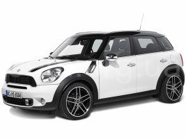 Профессиональное удаление сажевого фильтра Mini All Series