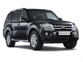 Профессиональное удаление катализатора Mitsubishi Pajero