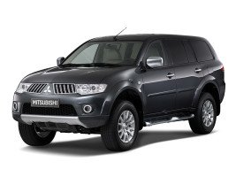 Профессиональное удаление сажевого фильтра Mitsubishi Pajero