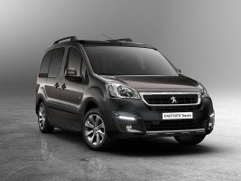 Профессиональное удаление катализатора Peugeot Partner