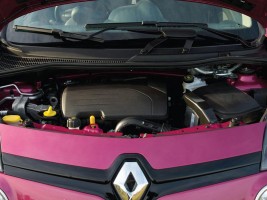 Профессиональный Чип тюнинг двигателя Renault Twingo