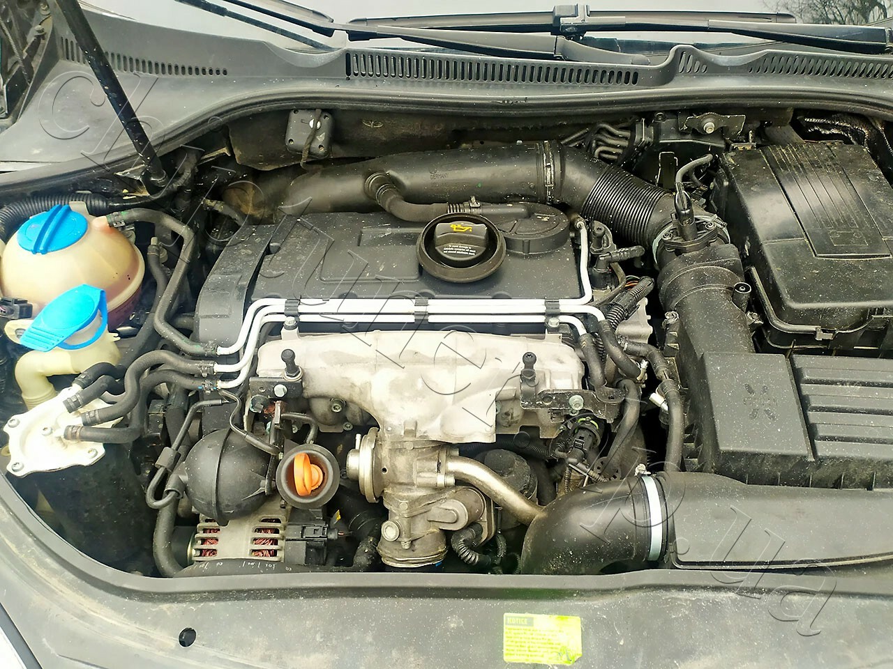 Чип тюнинг двигателя VW Golf V